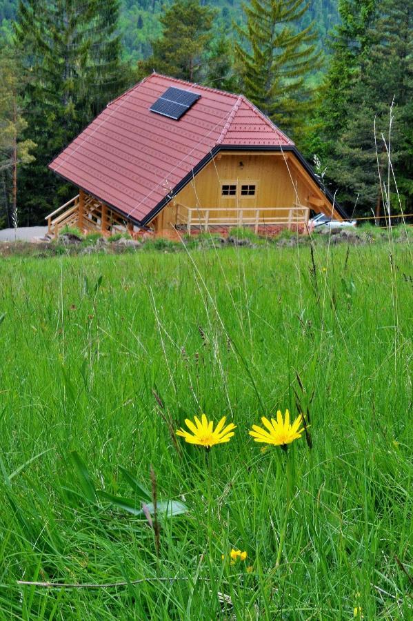 Kamp Beli Gaber Hotel Stari Trg pri Lozu Luaran gambar